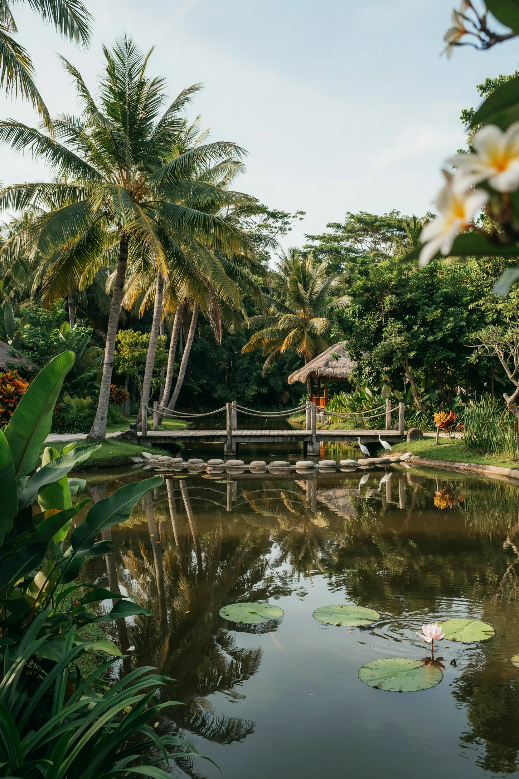 25 Pond Ideas in Garden 2026